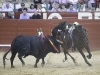 jerez10_14