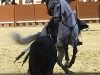 jerez10_4