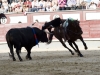 madrid1002_5