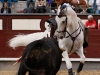madrid142_14