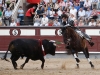 madrid141_15