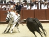 malaga10_4