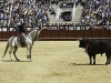 malaga10_6