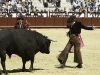 malaga10_8
