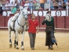 malaga11_15