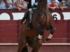 malaga12_03