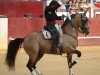 malaga12_05