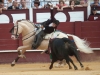 malaga12_07