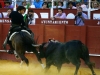 malaga13_12