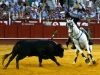 malaga13_14