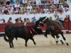 mejanes11_6