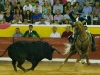 moita2013_02