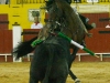 moita2013_04