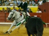 moita2013_06