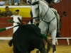 moita2013_08