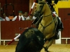 moita2013_11
