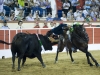 montijo10_11