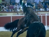 montijo10_13