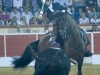 montijo10_14
