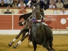 montijo11_15