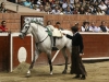 morelia11_11