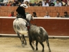 morelia11_7