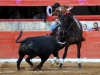 morelia12_b