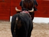motul2012_10