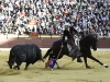 festmurcia104