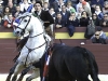 festmurcia105
