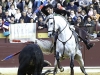 festmurcia107