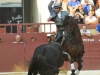 murcia11_1