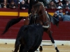 fmurcia13_e