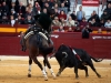 fmurcia13_i