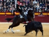 fmurcia13_j