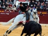 fmurcia13_k