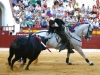murcia2013_06