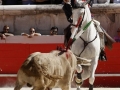 Nimes29