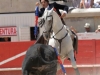 nimes11_11