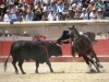 nimes11_14