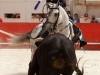 nimes14_6