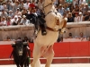 nimes14_8