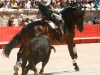 nimes13_01