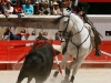 nimes13_013