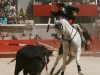nimes13_014