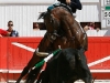 nimes20132_10
