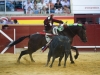 palencia10_13