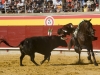 palencia10_5