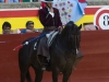 palencia10_7