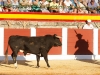 plasencia14_11